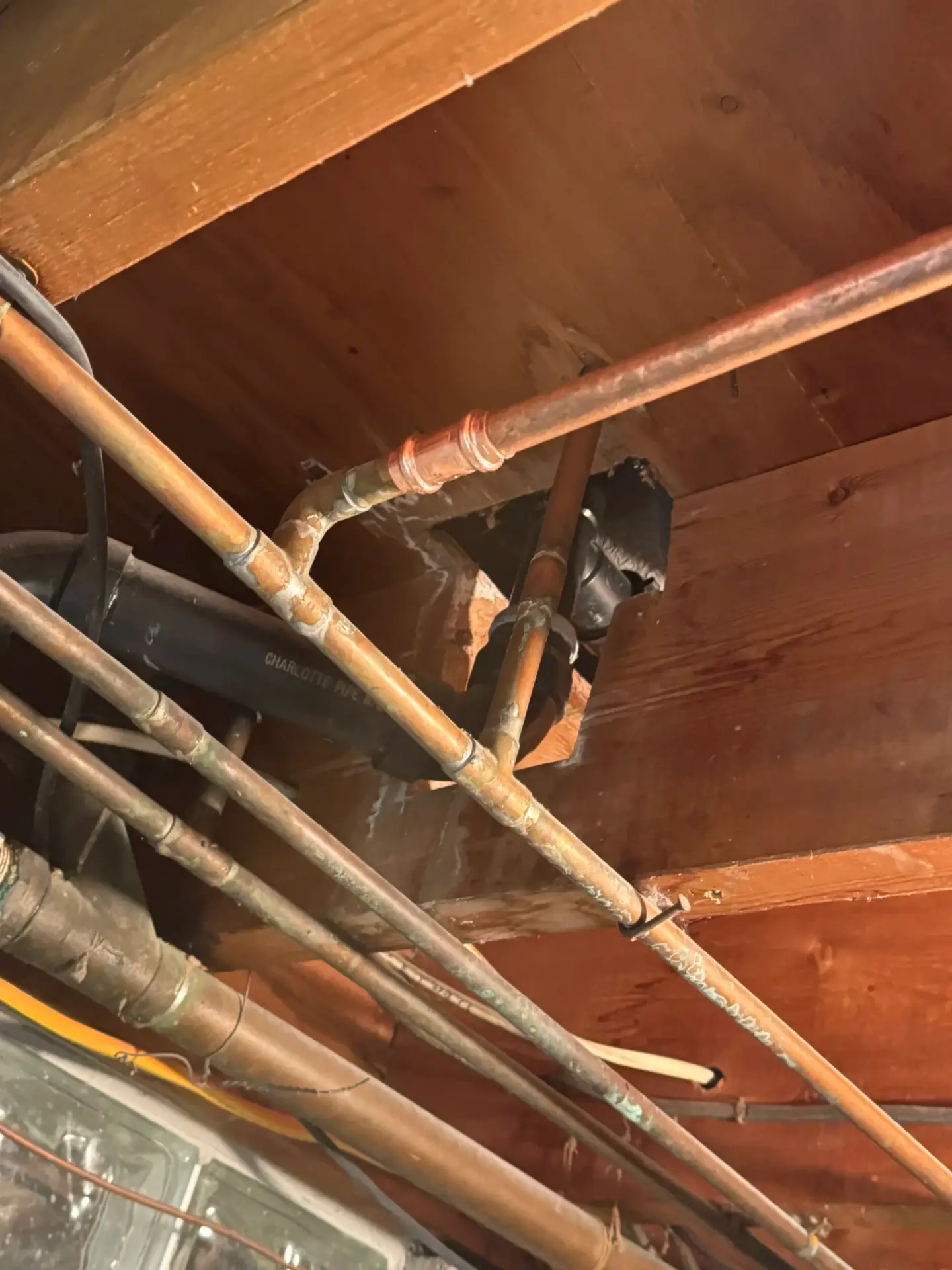 Copper supply pipes and a Charlotte Pipe drain line crossing through ceiling joists